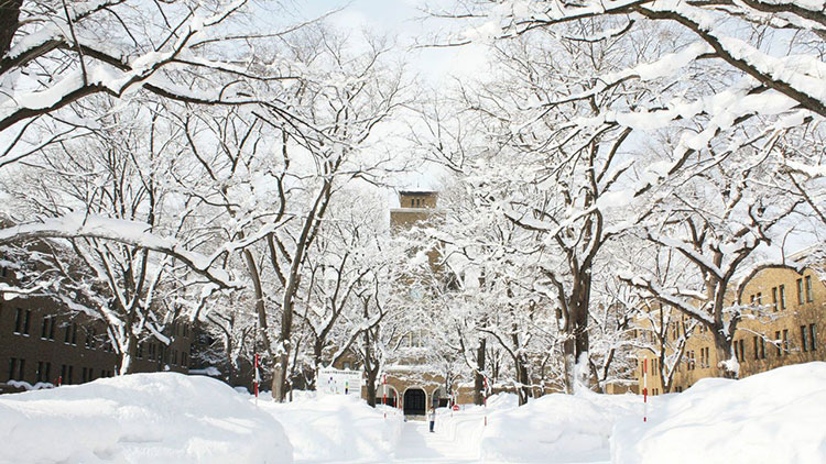北海道大學插圖1