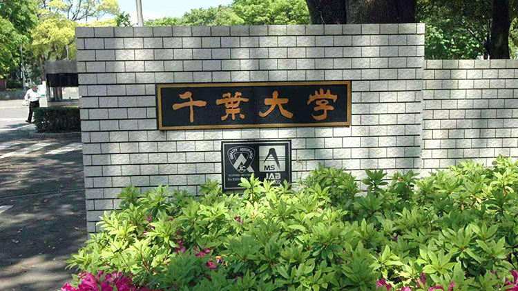 千葉大學(xué)插圖1